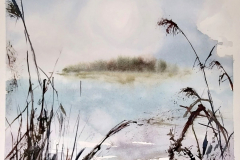 Chemin du lac | l'île aux oiseaux | aquarelle