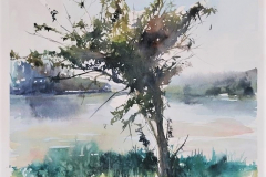 Chemin du lac | aquarelle