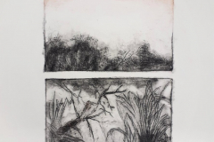 ligne Blanche | Monotype